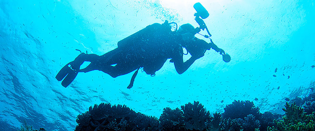 PROFESSIONAL UNDERWATER PHOTOGRAPHY COURSE at Liquid Motion Underwater Photo & Film Academy Cozumel