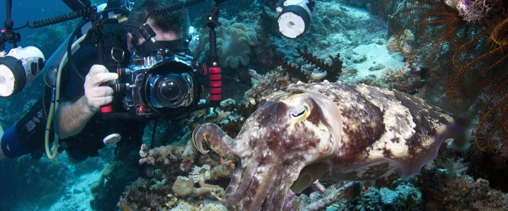 Professional Underwater Photography Courses at Liquid Motion Underwater Photo & Film Academy Cozumel