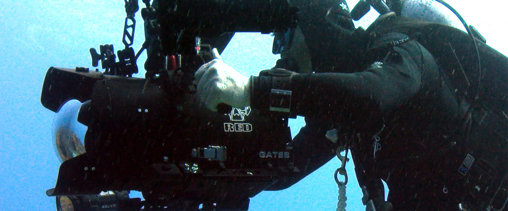 Nigel Hudson Underwater Camera Operator Course - Liquid Motion Underwater Videography Photography Film School