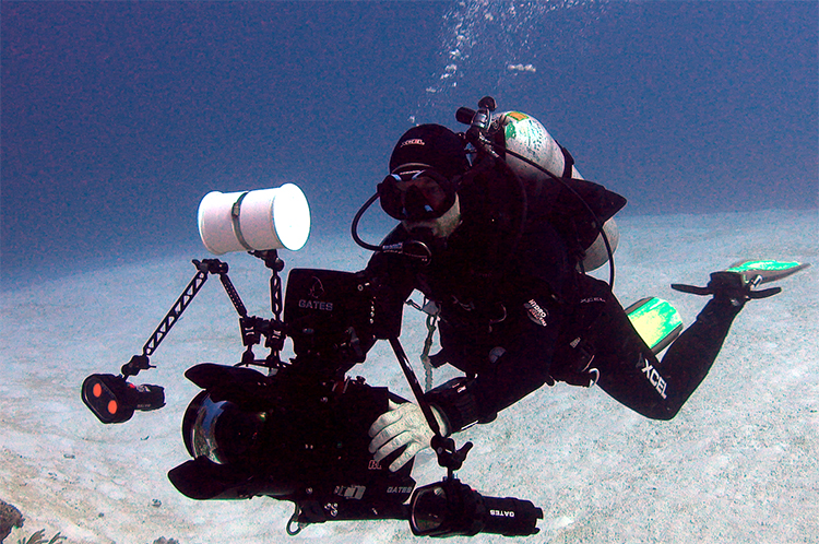 Nigel Underwater Videography Course -Liquid Motion Underwater Film, Photo, Video -Diver and coral reef1