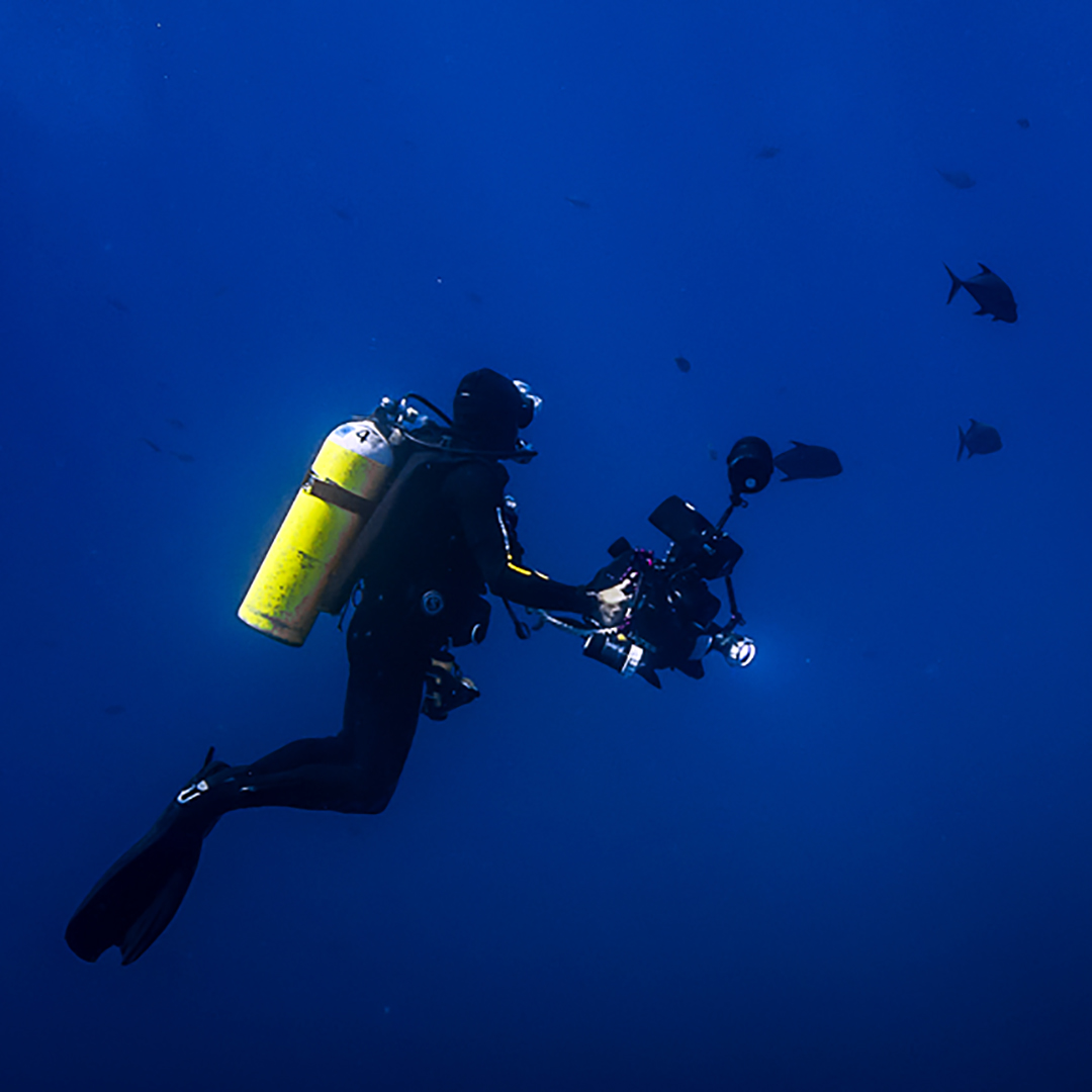 Professional Underwater Filmmaking Career Courses