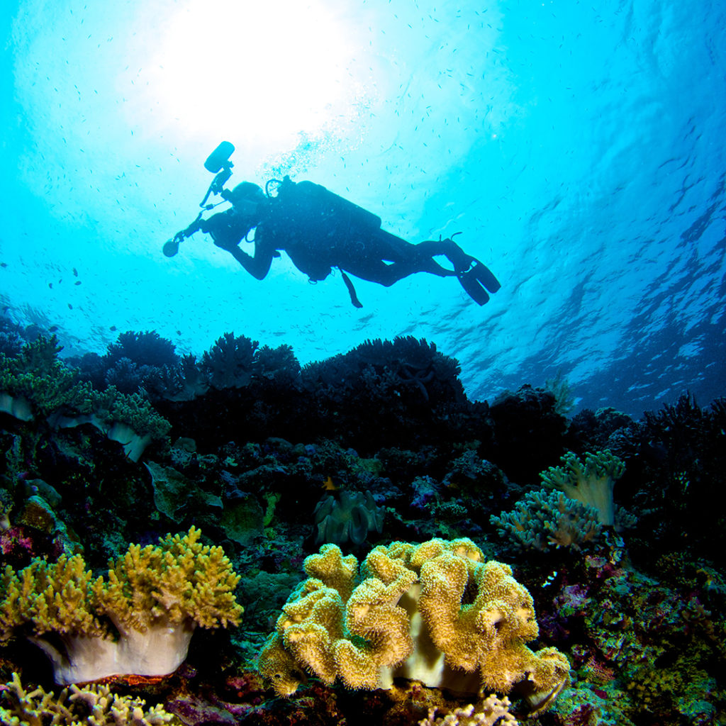 Professional Underwater Videography Career Course