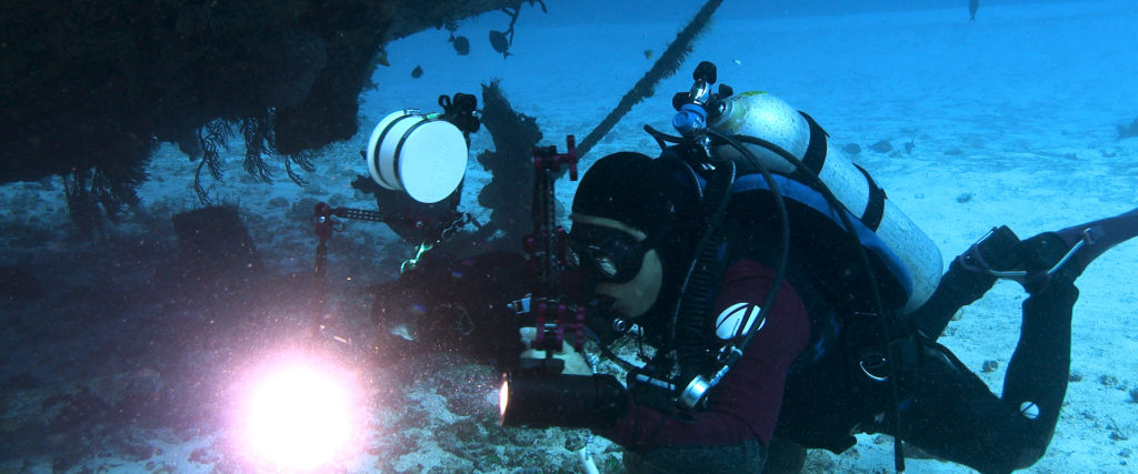 Career Course in Underwater Filmmaking