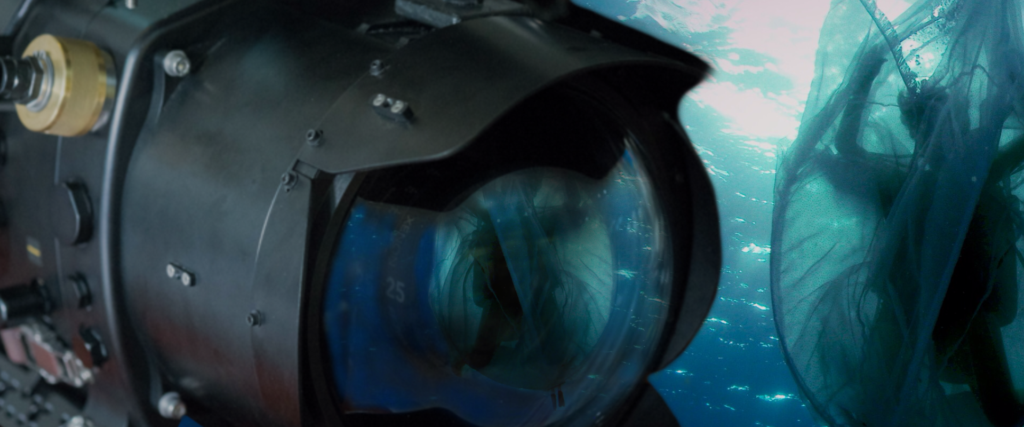 Underwater Camera Operator Course