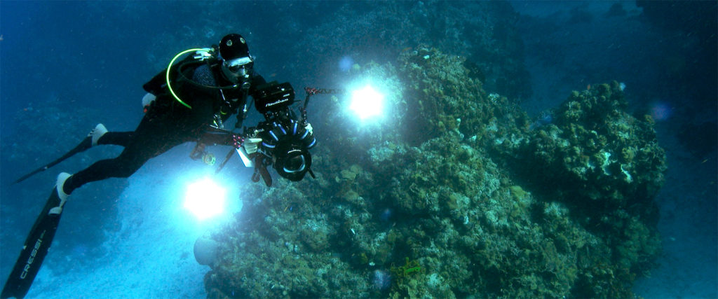 The Professional Underwater Camera Operator Course