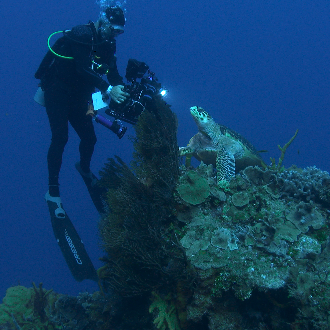 How to work in Underwater Filmmaking