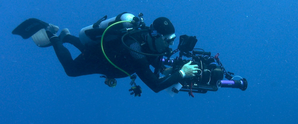 PROFESSIONAL UNDERWATER CAMERA OPERATOR CERTIFICATION COURSE at Liquid Motion Underwater Film Academy Cozumel