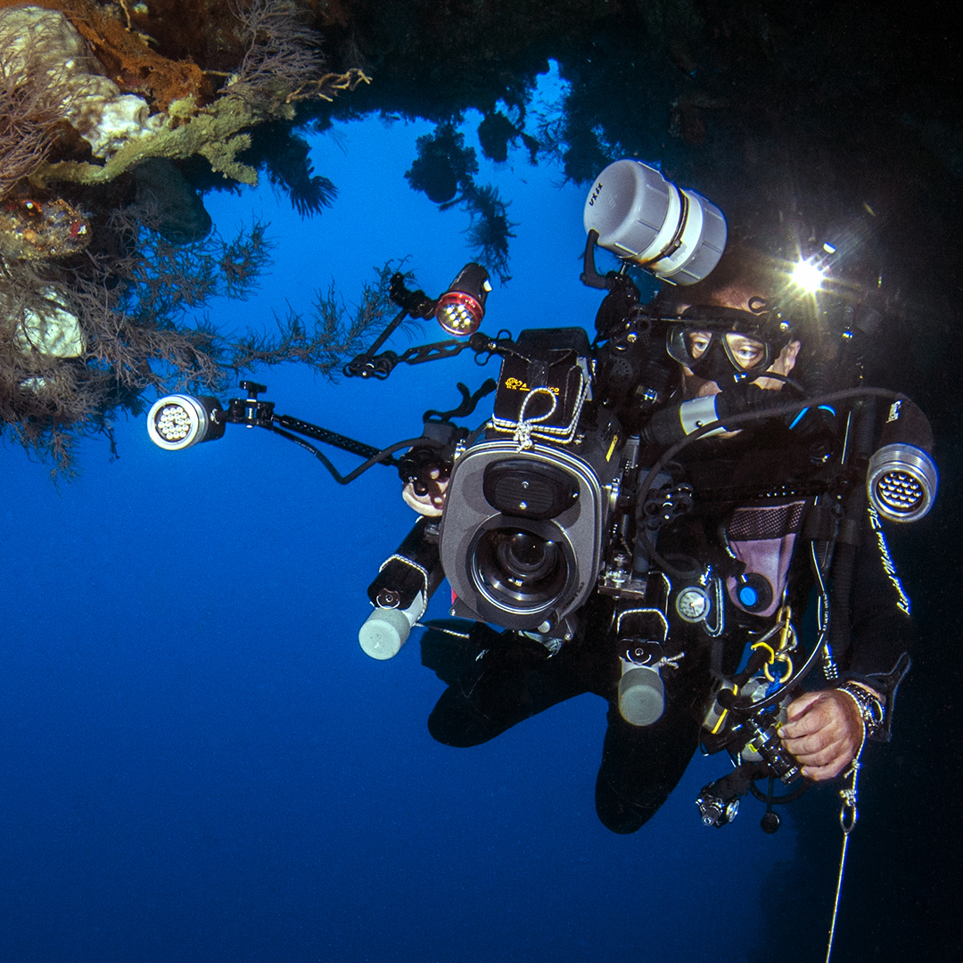 Professional Underwater Videography Career Courses