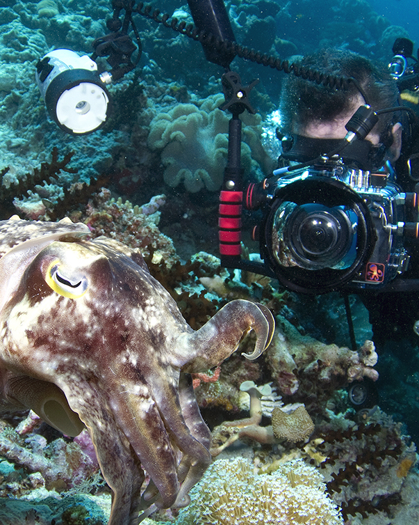 underwater photography internship