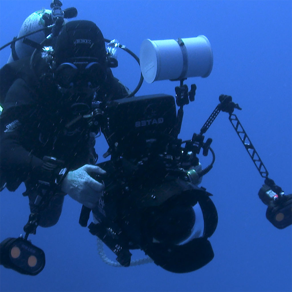 How to learn Professional Underwater Videography