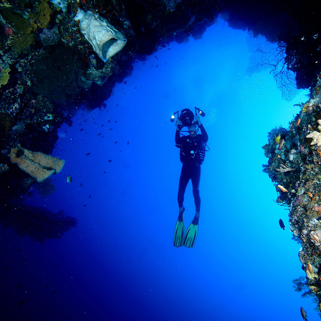 Online Underwater Photograph Course
