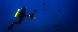 Professional Underwater Filmmaker Course - Underwater Camera Operator Liquid Motion Guy