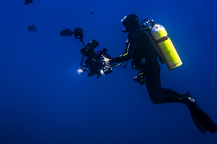 Events & Retreats: Underwater Cinematography, Filmmaking, Photo, Video, Art