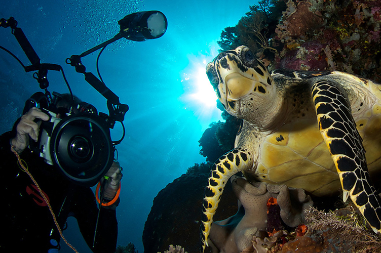 Professional Underwater Photography Career Course