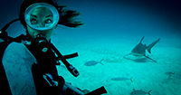 Kimberly Leemans films The Big Swim with Liquid Motion Underwater Filmmakers Cozumel