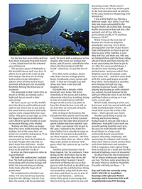 Dive magazine June 2013 page 3 Fluo-Diving & Underwater FluorescenceAnita & GUy Chaumette Liquid Motion