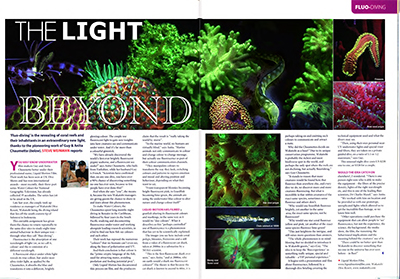 Fluo-Diving Underwater Fluorescence Article in Diver Magazine about Guy & Anita Chaumette