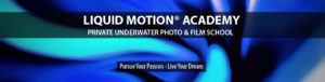 HeaderimageLMA13 Liquid Motion Underwater Photo & Film Academy