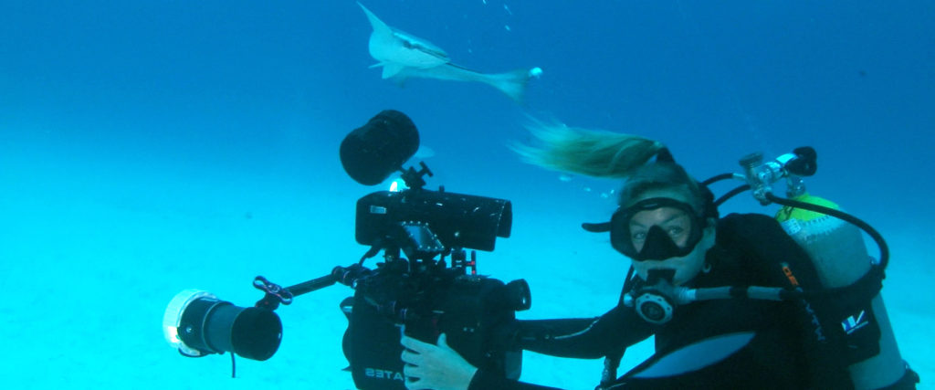 Professional Underwater Filmmaking Courses - Private, Professional Underwater Cinematography Courses, Professional Underwater Videography Courses, Professional Underwater Camera Operator Courses Liquid Motion Anna