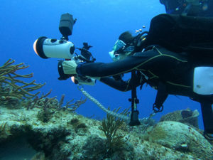 Underwater Photography Course Liquid Motion Academy Szu chi GPTempDownload 4 Liquid Motion Underwater Photo & Film Academy