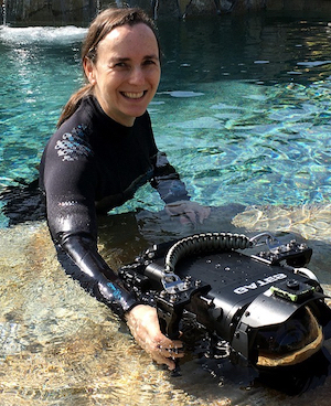 review underwater video course denise lira ratinoff