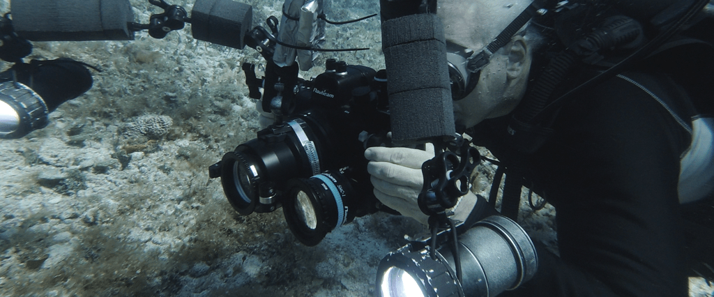 Underwater Videography Course review by Jason Jeffey