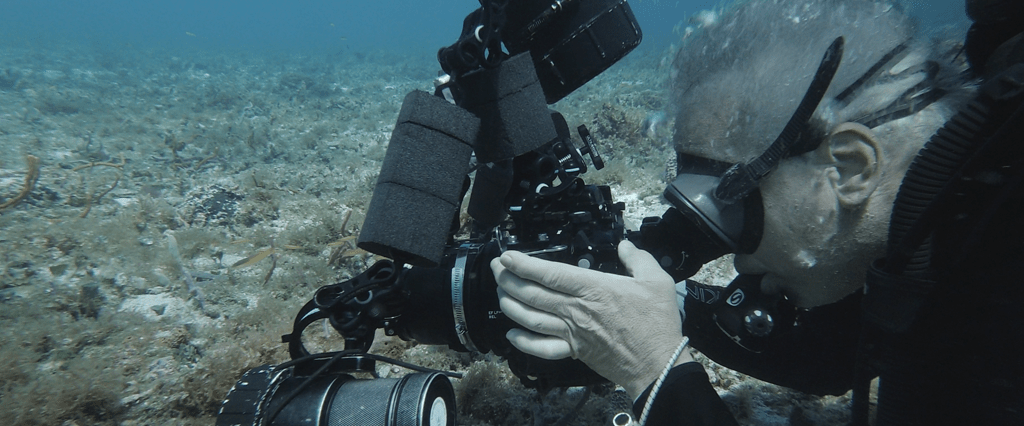 Underwater Videography Course review by Jason Jeffey