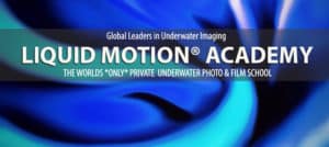 COVER IMAGE MASTER LMA Liquid Motion Underwater Photo & Film Academy