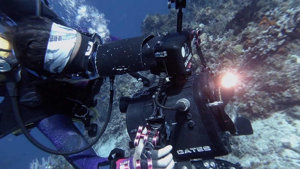 Underwater Filmmaker Course Liquid Motion sarah cu 1