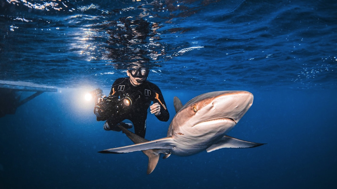 Pro Underwater FIlmmaker Course Liquid Motion Arnau Pro Underwater Filmmaking Course Review by Arnau Argemi