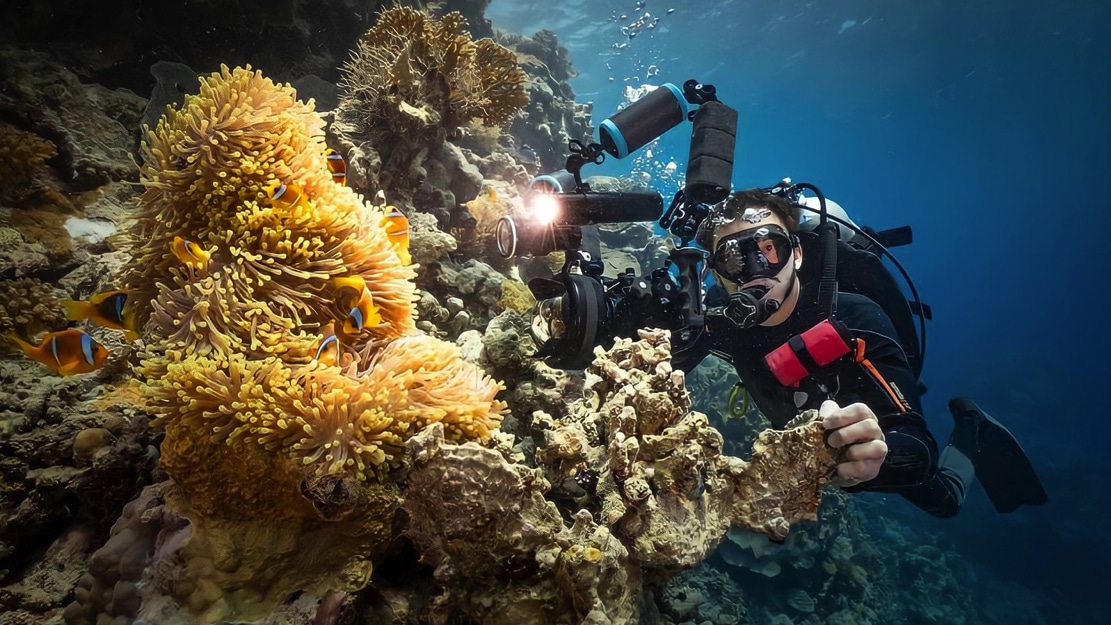 Professional Underwater Filmmaking Course by Arnau Argemi Professional Underwater Filmmaking Course by Arnau Argemi