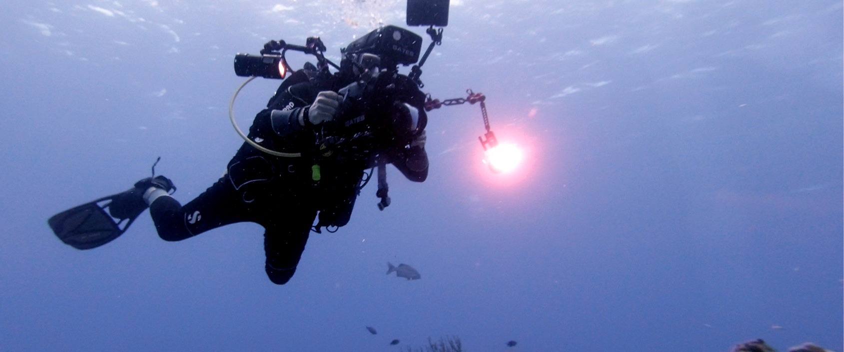 Review of Professional Underwater Filmmaking Career Course & Professional Underwater Photography Career Course by Jerry Gordon