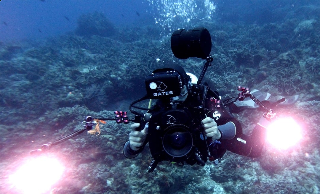 Events & Retreats - Underwater Cinematography Mastery - learn Underwater cinematography underwater videography underwater camera operator underwater filmmaking