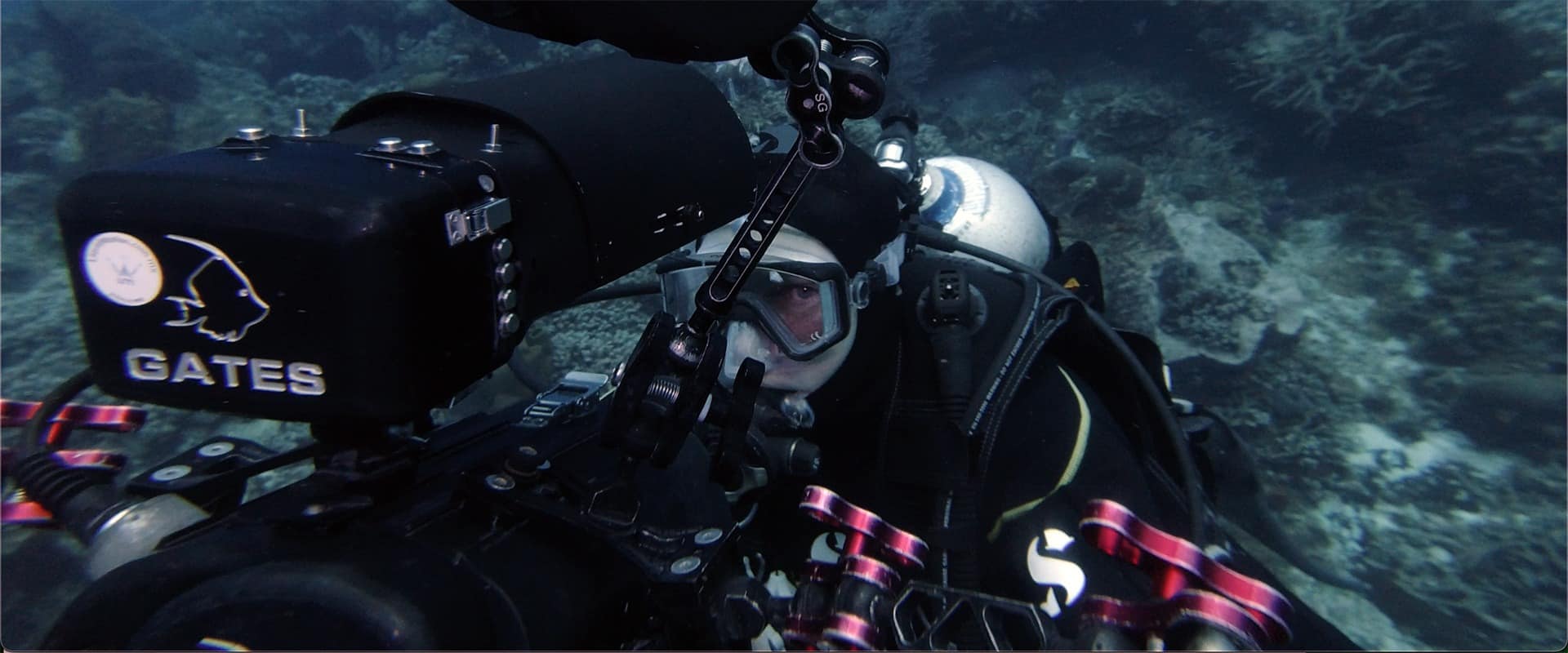 Review of Professional Underwater Filmmaking Career Course & Professional Underwater Photography Career Course by Jerry Gordon