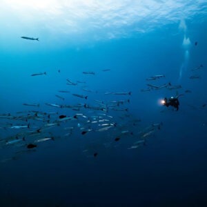 Diver underwater camera filming square-1