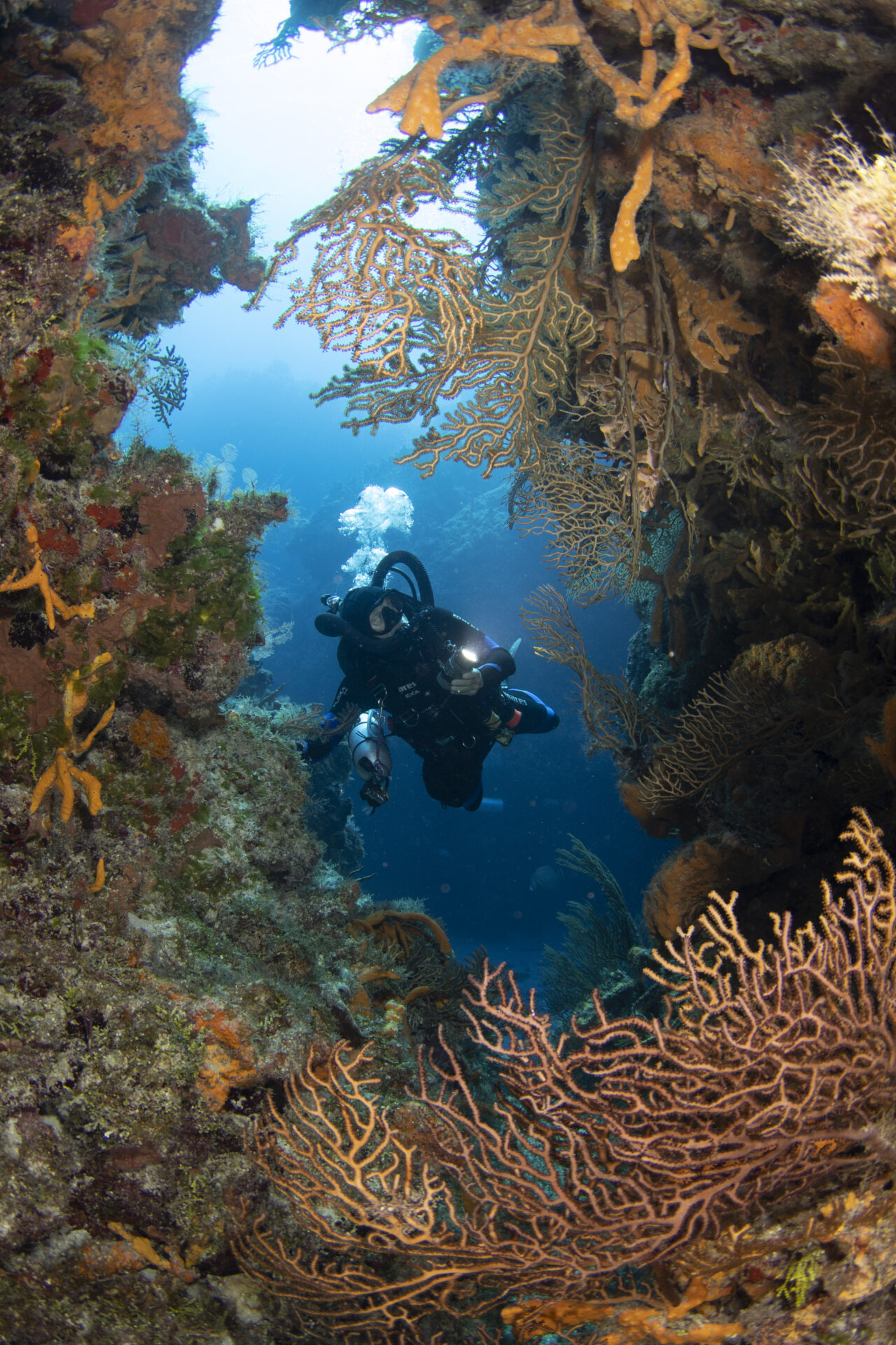 Liquid Motion Underwater Photo & Film Academy - About Liquid Motion - Anita & Guy Chaumette - Award-winning Underwater Filmmakers - Underwater Cinematographers - Underwater Artists - Underwater Film School