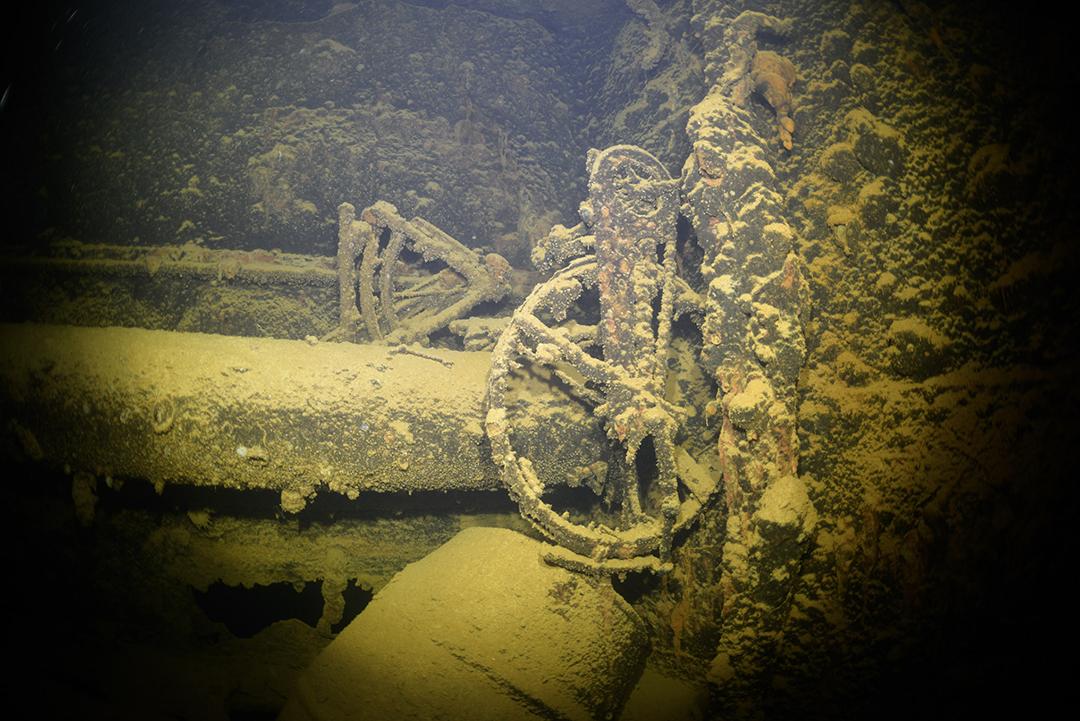 Johnathan review Liquid Motion Underwater Photo & Film Academy - Underwater Storytelling - Underwater Filmmaking Career Course - Underwater Filmmaking Mentorship-2