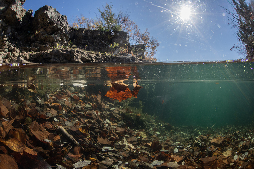 Johnathan's Professional Underwater Filmmaking Career Pathway