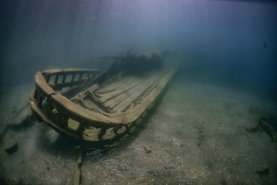 Johnathan review Liquid Motion Underwater Photo & Film Academy - Underwater Storytelling - Underwater Filmmaking Career Course - Underwater Filmmaking Mentorship-2