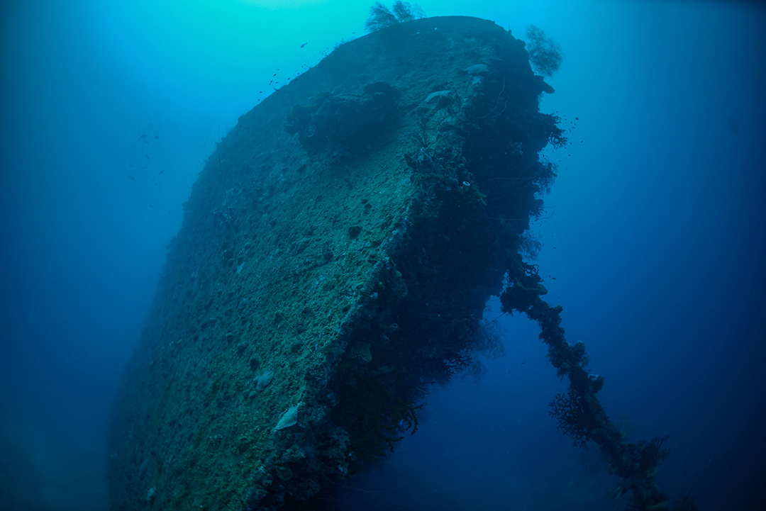 Johnathan review Liquid Motion Underwater Photo & Film Academy - Underwater Storytelling - Underwater Filmmaking Career Course - Underwater Filmmaking Mentorship-2